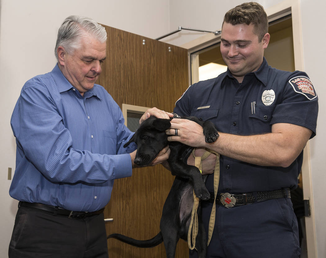 Blaze, a 5-month-old black lab and golden retriever mix, meets with Nevada Gov. Steve Sisolak a ...