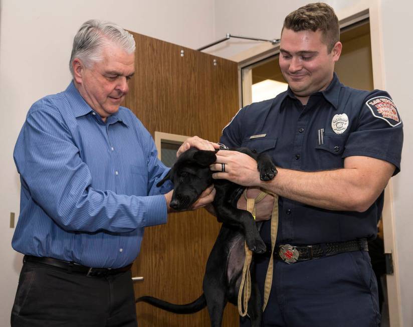 Blaze, a 5-month-old black lab and golden retriever mix, meets with Nevada Gov. Steve Sisolak a ...