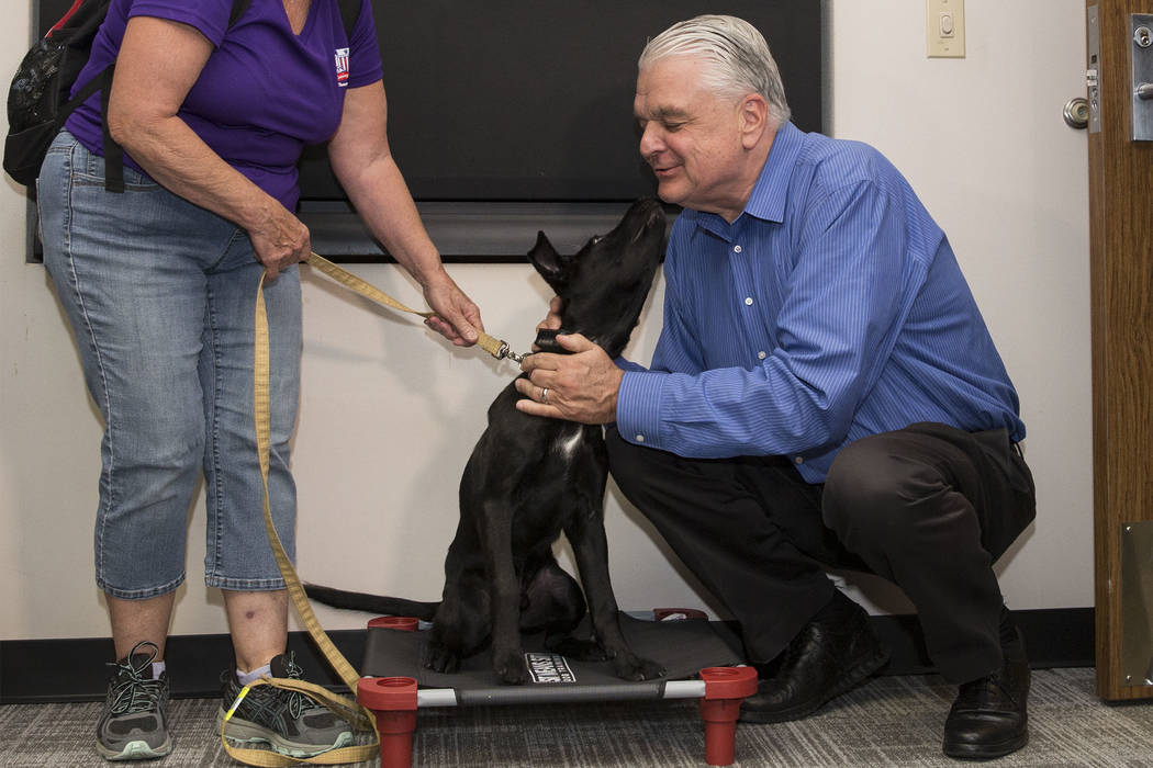 Blaze, a 5-month-old black lab and golden retriever mix, meets with Nevada Gov. Steve Sisolak a ...