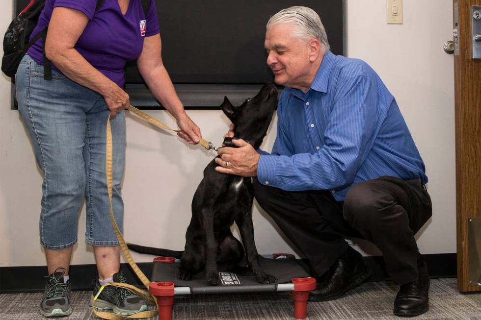 Blaze, a 5-month-old black lab and golden retriever mix, meets with Nevada Gov. Steve Sisolak a ...