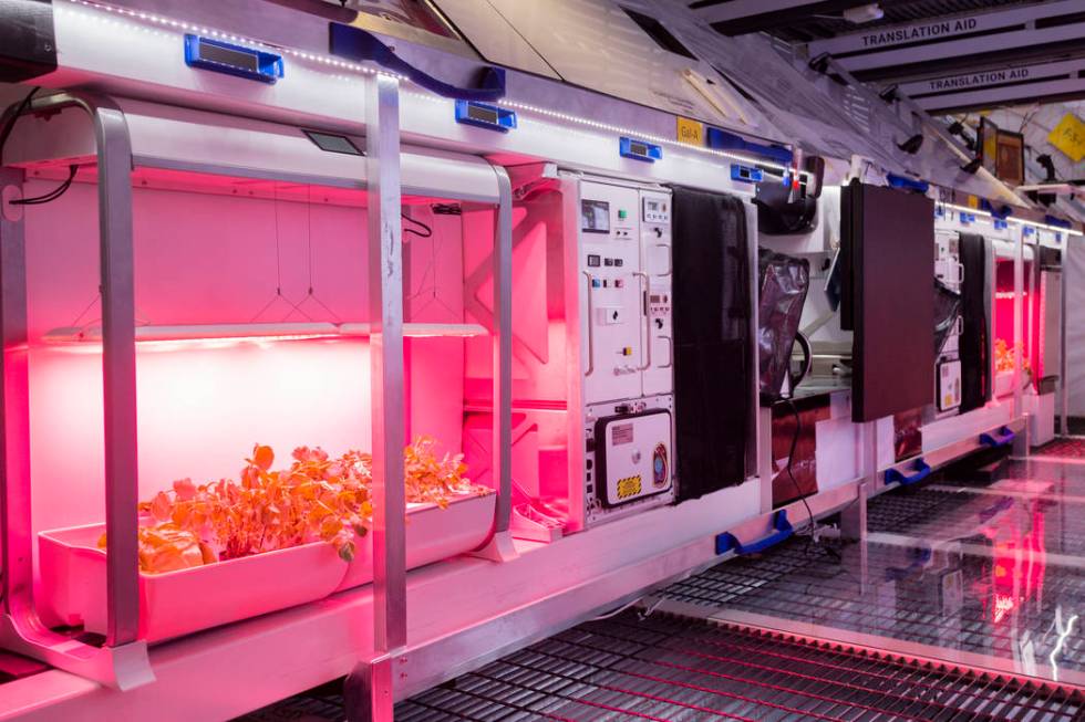 Fresh vegetable gardens on the B330 Mars Transporter Testing Unit at Bigelow Aerospace in North ...