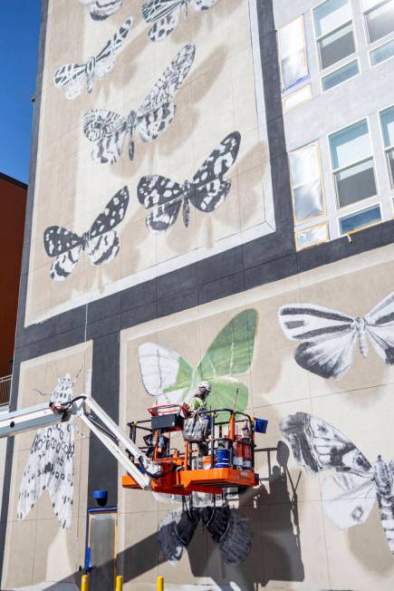 French painter Mantra works on his mural in preparation for Life is Beautiful music festival in ...