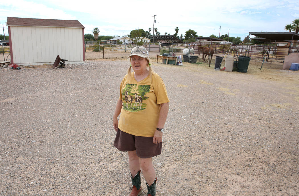 Retiree Susan Lorenz lives on a 1-acre property near Warm Springs Road and Decatur Boulevard in ...