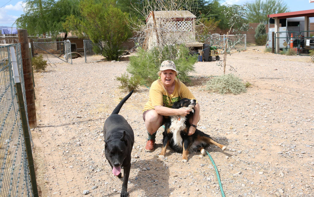Susan Lorenz, 62, plays with her dogs, Sadie Mae, left, and Ziggy, at her southwest Las Vegas h ...