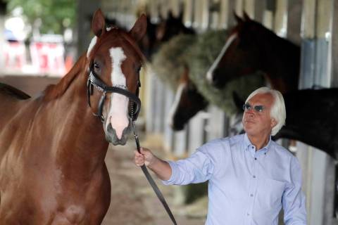 Trainer Bob Baffert walks Justify around the barn after arriving at Belmont Park in Elmont, N.Y ...