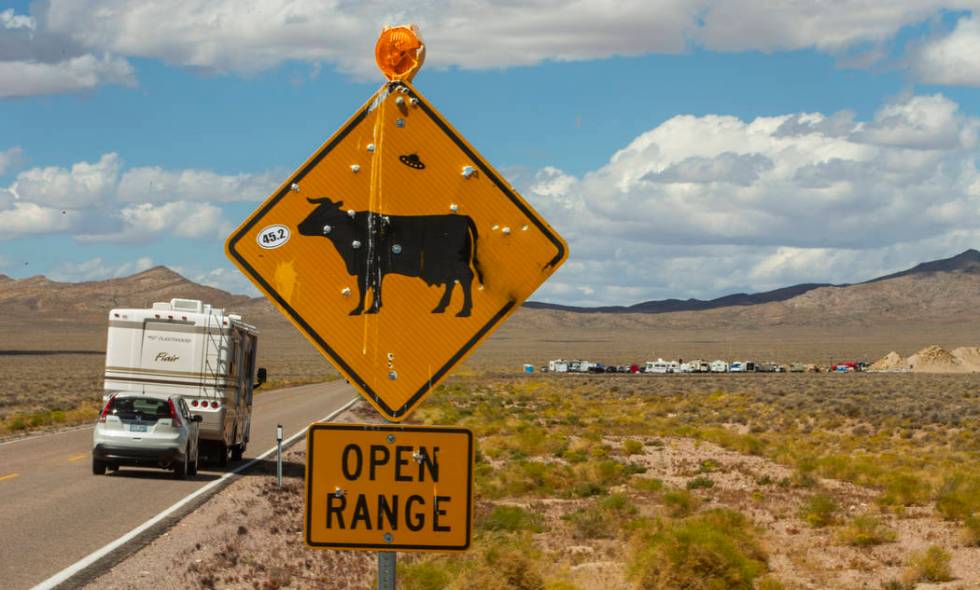 Drivers are encouraged to watch out for cattle on state Route 375 between the Area 51 Basecamp ...