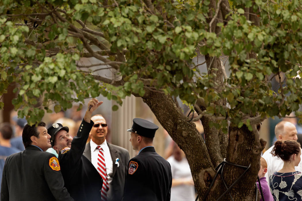 New York City Fire Department firefighters look at the Survivor Tree at the Sept. 11 memorial d ...