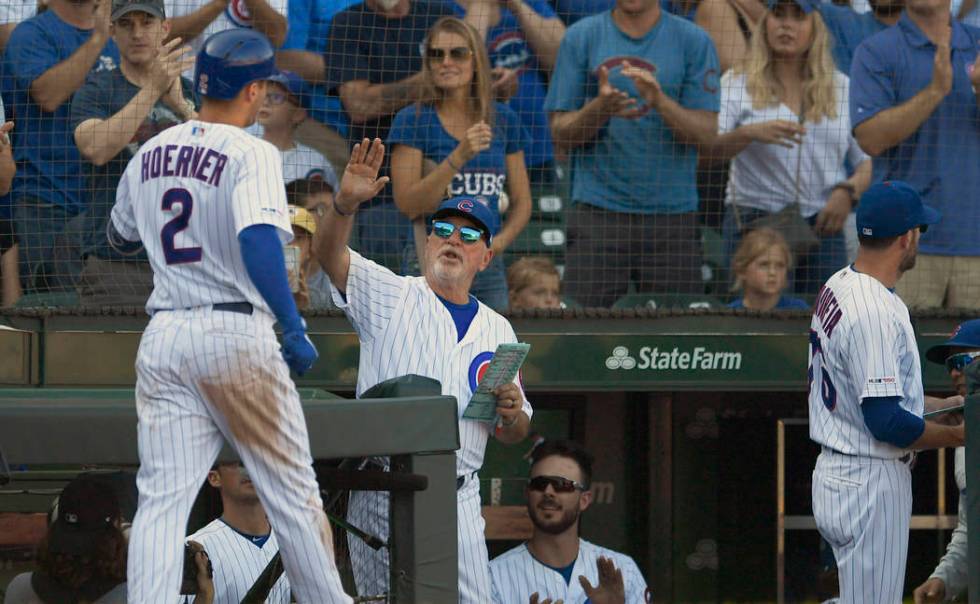 Chicago Cubs' Nico Hoerner (2) celebrates with manager Joe Maddon right, at the dugout after hi ...