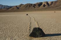 Some of the moving rocks found at Death Valley's Racetrack Playa weigh hundreds of pounds. (Deb ...