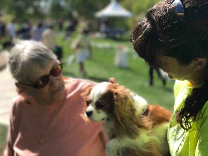 Celebrate your pet and help other animals in need at the Family, Fur & Festival at Mountain’s ...