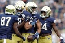 Notre Dame tight end Tommy Tremble (24) celebrates after scoring a touchdown during the first h ...