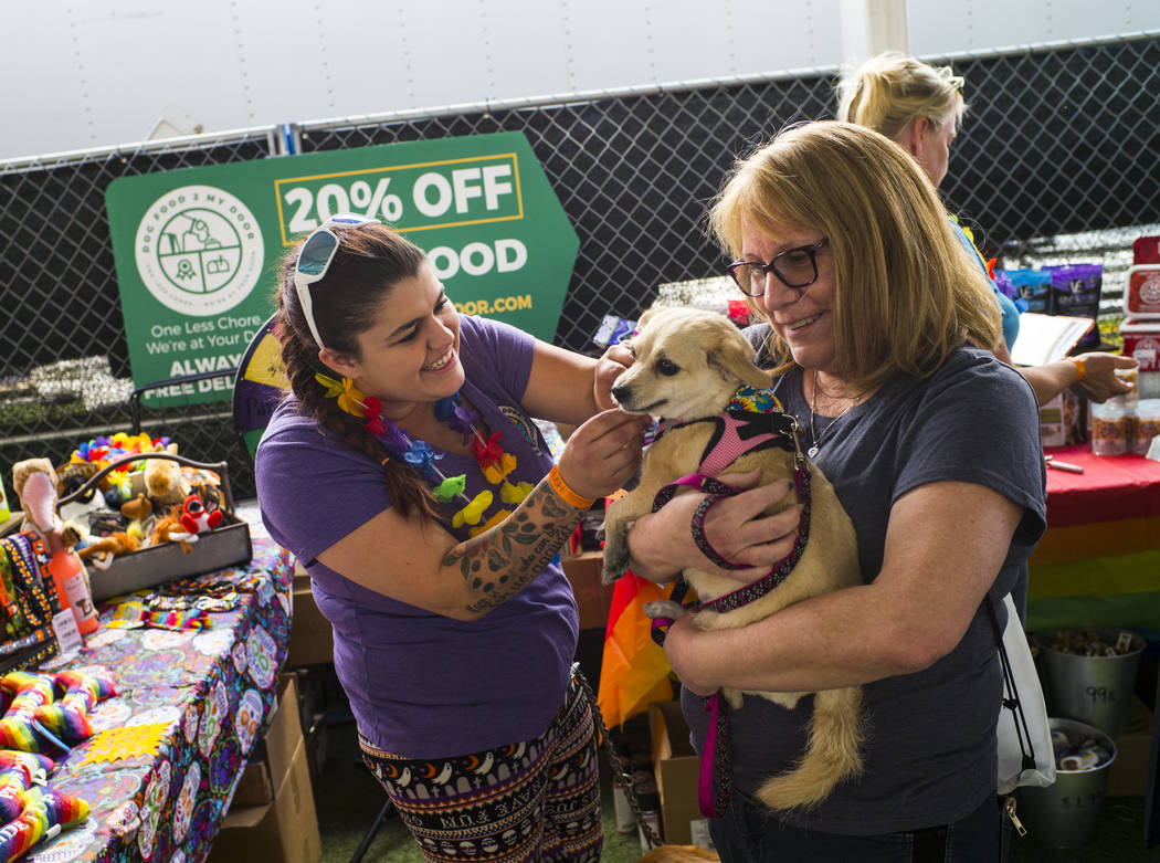Chloe Kelly, of Dog Food 2 Go, puts a bandana on Dakota, held by Lisa Giles, of Las Vegas, at t ...