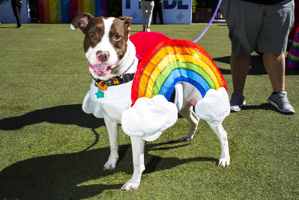 Leila poses in a rainbow cloud outfit at the Las Vegas Pride Festival in downtown Las Vegas on ...