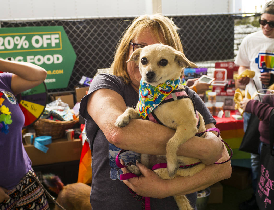 Lisa Giles, of Las Vegas, holds up Dakota, sporting a new bandana, at the Pride Pets area of th ...
