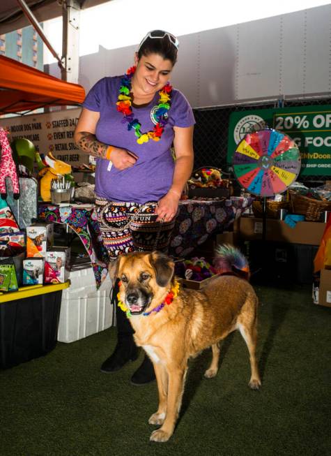 Chloe Kelly, of Dog Food 2 Go, poses with Oakleigh at the Pride Pets area of the Las Vegas Prid ...