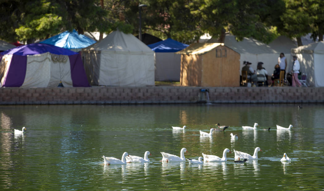 Ducks take to the lake about some tents erected for the Age of Chivalry Renaissance Festival at ...