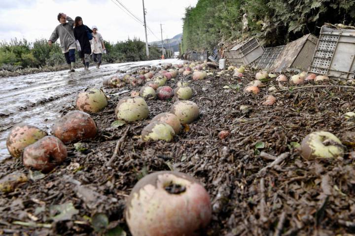 People walk through a muddy street with fallen apples littered in Nagano, central Japan Tuesday ...