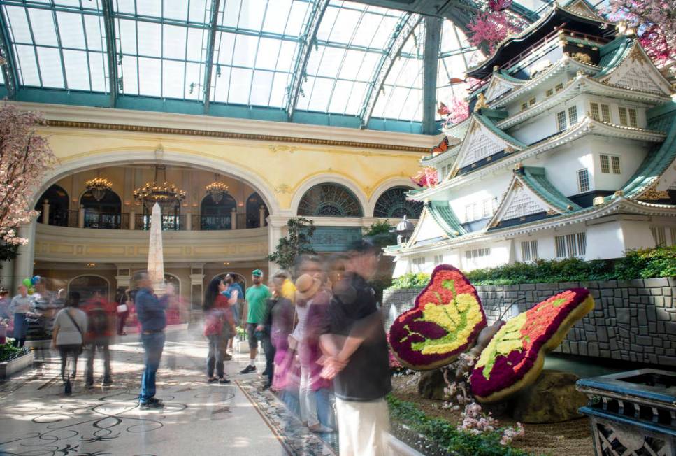 The Bellagio showcases its spring display at the Bellagio Conservatory & Botanical Gardens ...