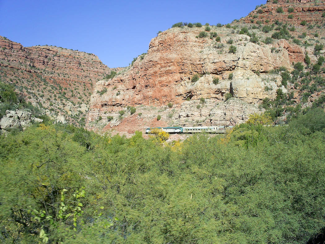 The Verde River supports a wide variety of Western wildlife, including javelinas, antelope, dee ...