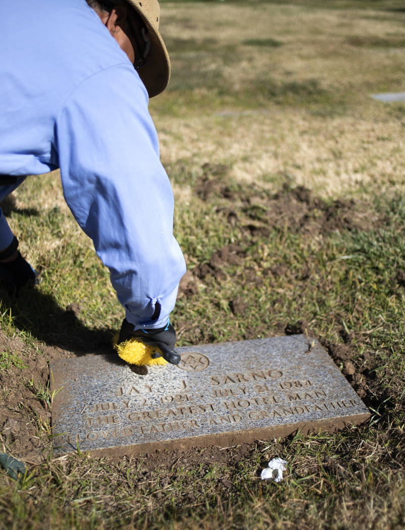 An employee at Palm Eastern Cemetery uncovers the overgrown gravestone of Jay Sarno on Monday, ...