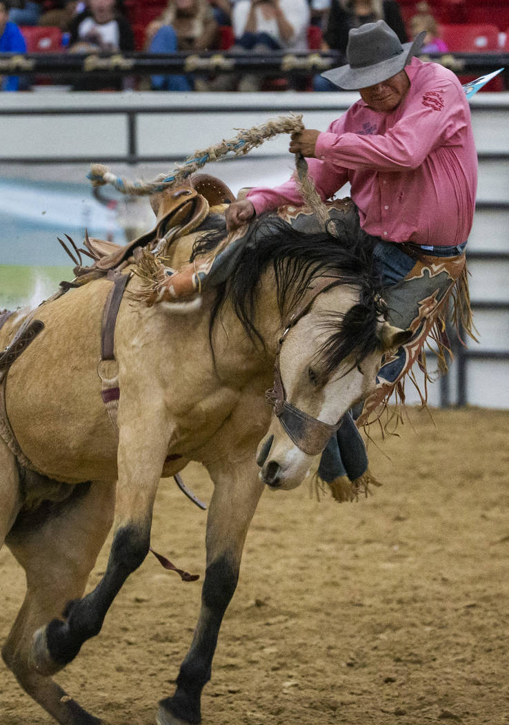 Saddle bronc rider Robert Burbank gets bucked off of the horse during the first round of the In ...