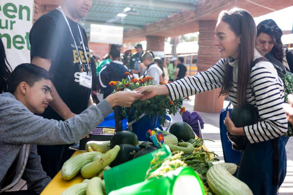 Dell H. Robison Middle School student Randy Delgado, 13, left, and Samantha Percoski, Mount Cha ...