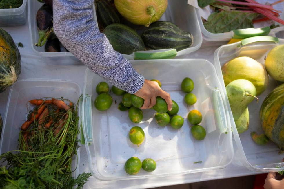 A costumer chooses limes from Helen Herr Elementary garden club booth during the nation's large ...