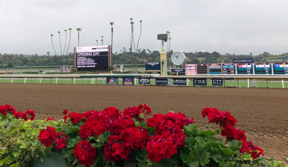 Flowers frame a new infield video board and the finish line ahead of opening day of the fall me ...