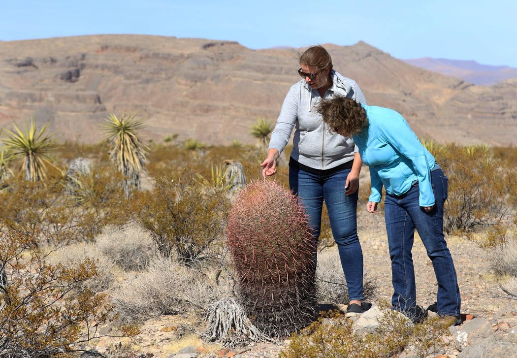 Lara Kobelt, left, natural resource specialist for the Bureau of Land Management, Southern Neva ...