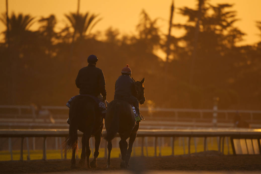 Horses warm up in the early morning light at the Breeder's Cup horse races, Thursday, Oct. 31, ...