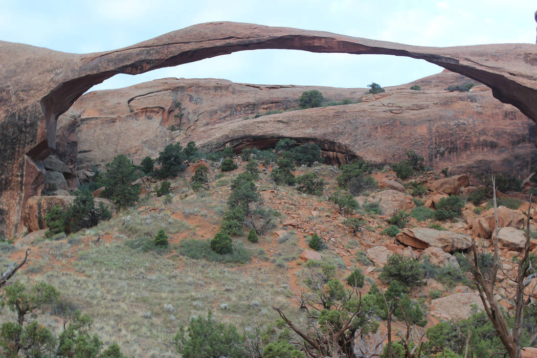 Landscape Arch has a span of 290 feet base to base and is only 6 feet thick at its center, very ...
