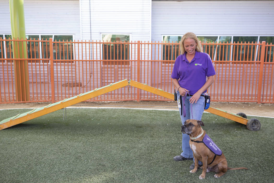 Nicole Fox, an enrichment specialist for the Animal Foundation, trains Louie, an eight-year-old ...