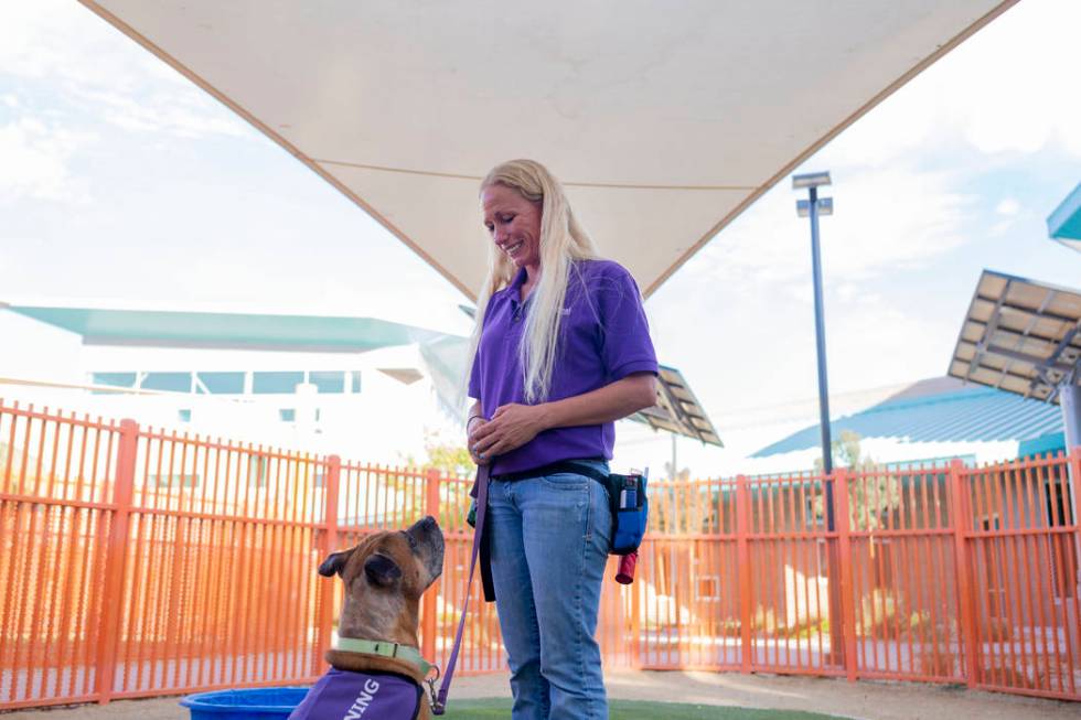 Nicole Fox, an enrichment specialist for the Animal Foundation, trains Louie, an eight-year-old ...