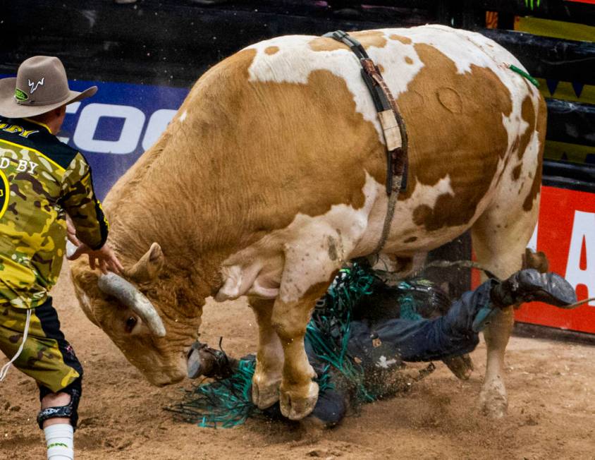 Leandro Machado gets stomped underneath of Nailed during the last day of the PBR World Finals a ...