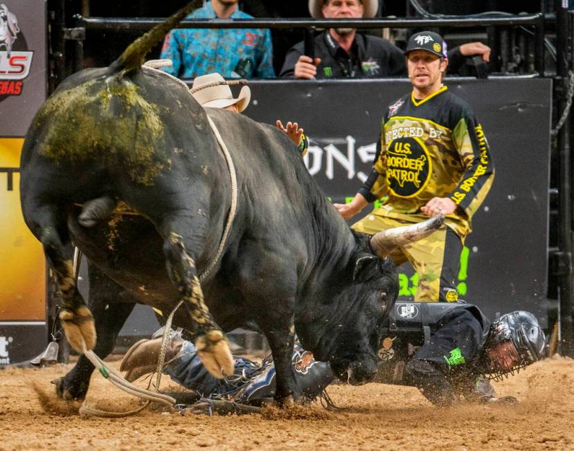 Jared Parsonage gets a horn while down from Talking Smack during the last day of the PBR World ...