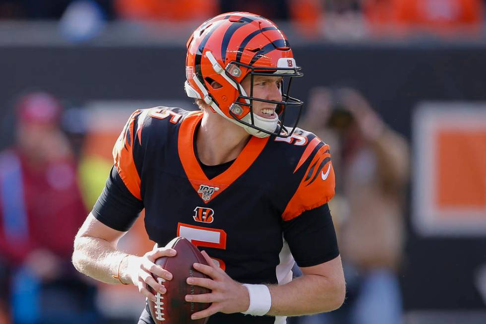 Cincinnati Bengals quarterback Ryan Finley (5) looks to pass during the first half of NFL footb ...