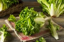 Raw Green Organic Escarole. (Getty Images)