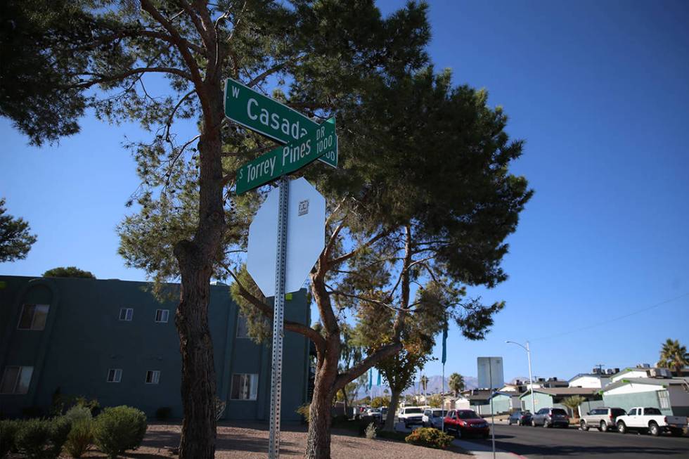 The scene of a shooting that left a boy dead at the intersection of Casada Way and Torrey Pines ...