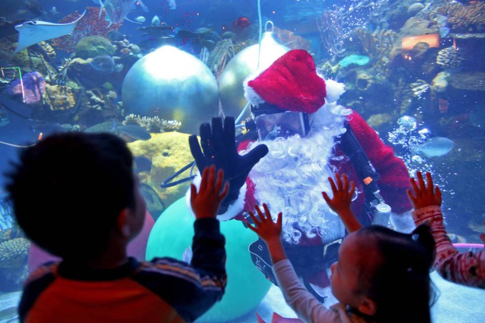 Underwater Santa high-fives William Chaidez, 3, at Silverton hotel and casino in Las Vegas, Sun ...