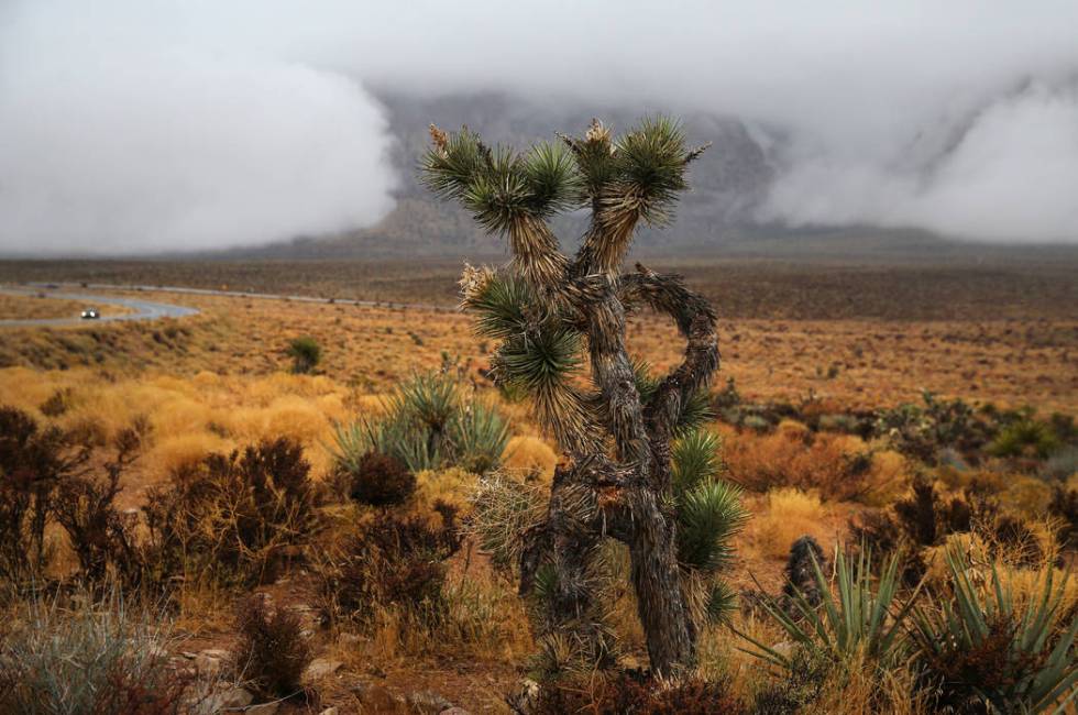 Red Rock Canyon in Las Vegas, Wednesday, Nov. 20, 2019. (Erik Verduzco / Las Vegas Review-Journ ...