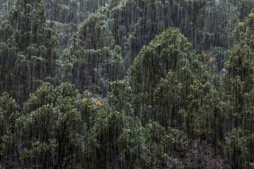 Snow falls along state Route 158 at Mount Charleston on Wednesday, Nov. 20, 2019. (L.E. Baskow/ ...