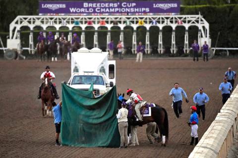 Track workers treat Mongolian Groom after the Breeders' Cup Classic horse race at Santa Anita P ...