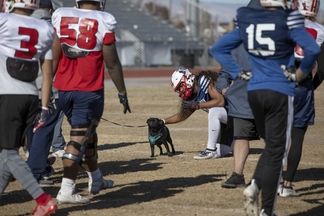 Liberty's strong safety Zyrus Fiaseu (30) pets head coach Rich Muraco's pug Magnus during pract ...