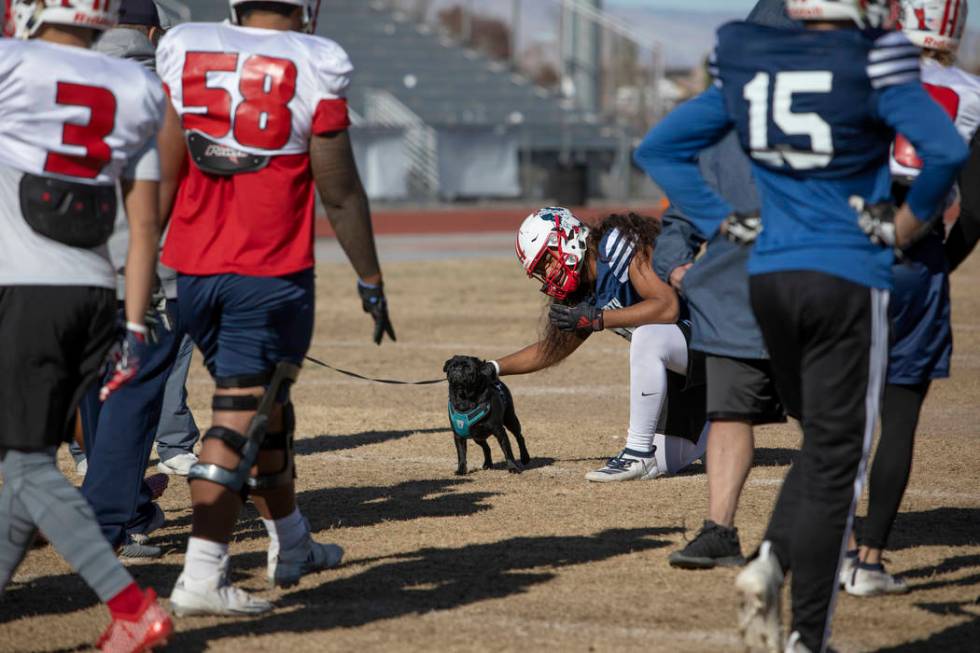 Liberty's strong safety Zyrus Fiaseu (30) pets head coach Rich Muraco's pug Magnus during pract ...