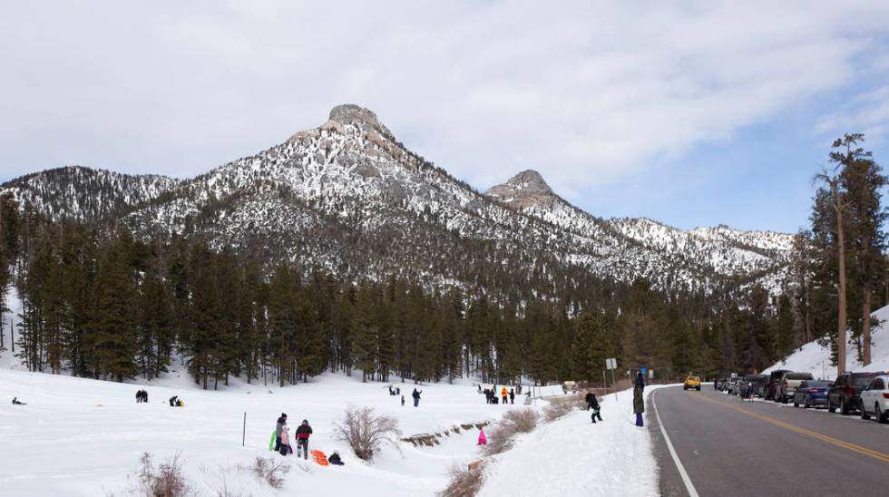 Upper Lee Meadows on Thursday, Nov. 28, 2019, in the Spring Mountain National Recreation Area i ...