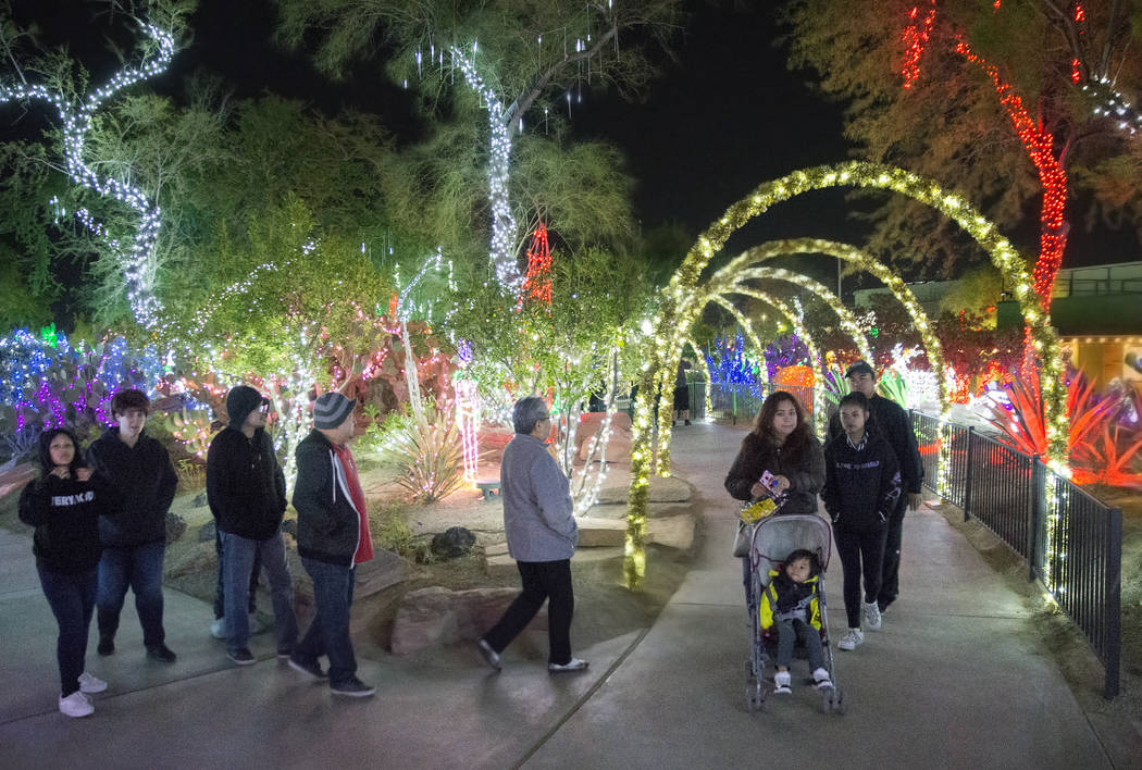 Holiday goers enjoy the lights at Ethel M Chocolates Botanical Cactus Garden on Monday, Novembe ...