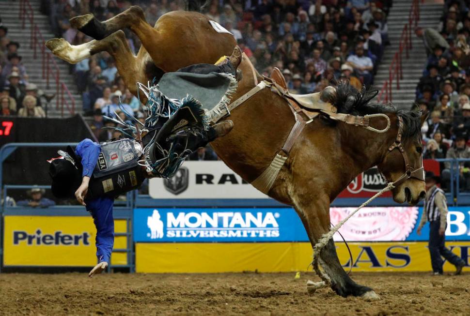 Ryder Wright, of Milford, Utah, is bucked off his horse while competing in the saddle bronc rid ...