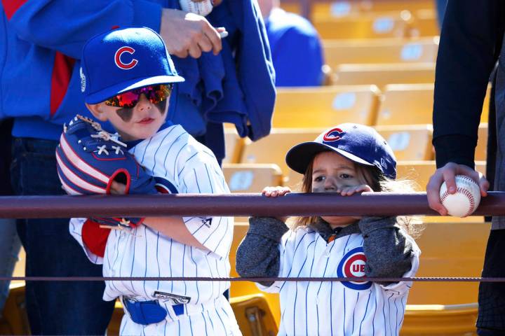Otto Braverman, 5, and his 2-year-old sister Ivy attend the annual Big League Weekend baseball ...