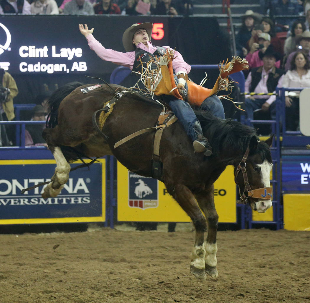 Clint Laye of Cadogan, Canada rides All Pink during Bareback Riding in the fifth go-around of t ...