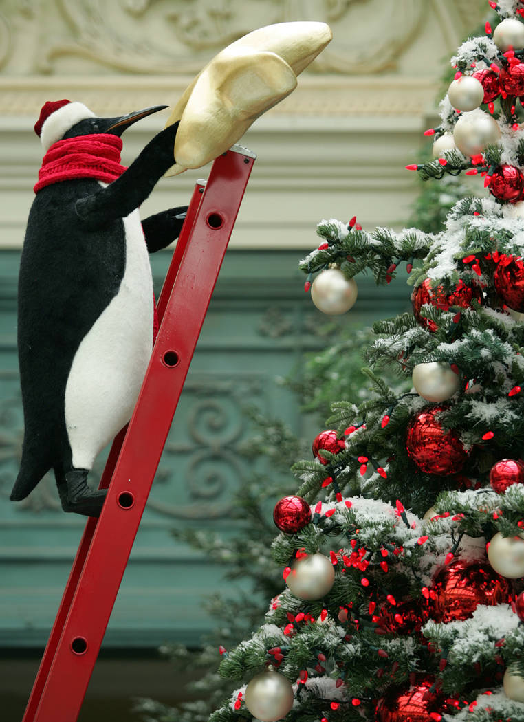 An animatronic Emperor penguin appears to reach out to add a star to a Christmas tree as part o ...